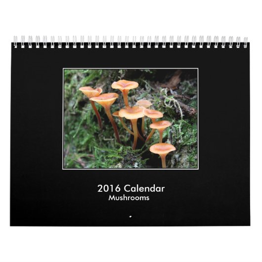 Agenda 2016 kalender (Hoes)