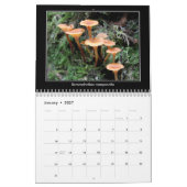Agenda 2016 kalender (Jan 2027)