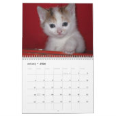 Agenda 2016 met Feestdagen - Katten Kalender (Jan 2026)