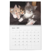 Agenda 2016 met Feestdagen - Katten Kalender (Mar 2027)