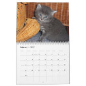 Agenda 2016 met Feestdagen - Katten Kalender (Feb 2027)