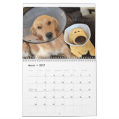 Agenda 2016 ParkerPup (& Reser, ook) Kalender (Mar 2027)