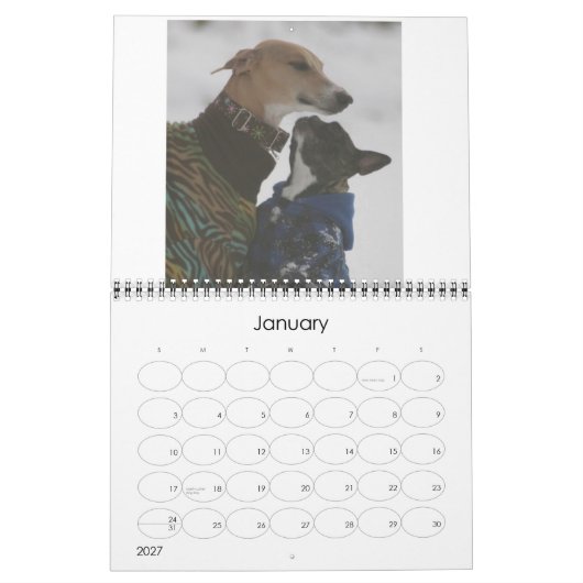 Agenda 2016 van Azawakh Kalender (Jan 2027)