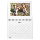 Agenda 2016 van Azawakh Kalender (Mar 2027)