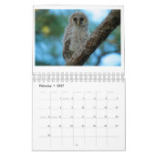 Agenda 2016 van OwlWatch Kalender (Feb 2027)