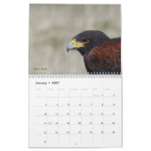 Agenda 2016 - Vogels van Noord-Amerika Kalender (Jan 2027)