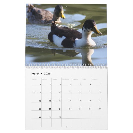 Agenda 2016 voor vrachtwagens kalender (Mar 2026)