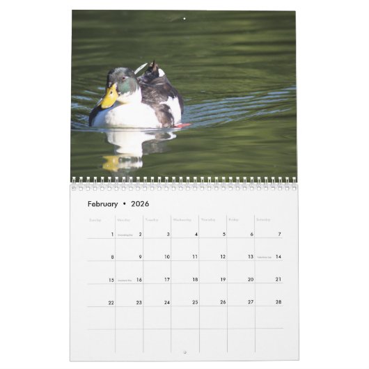 Agenda 2016 voor vrachtwagens kalender (Feb 2026)