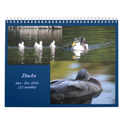 Agenda 2016 voor vrachtwagens kalender (Hoes)
