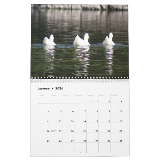 Agenda 2016 voor vrachtwagens kalender (Jan 2026)