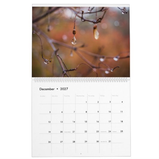 Agenda 2017, Foto's van Eric Johnson Kalender (Dec 2027)