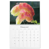 Agenda 2017: Foto's van Joan McQuaid Kalender (Feb 2027)