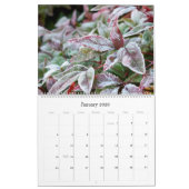 Agenda 2017: Foto's van Joan McQuaid Kalender (Jan 2026)