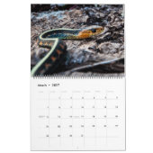 Agenda 2017 in het wild levende dieren kalender (Mar 2027)