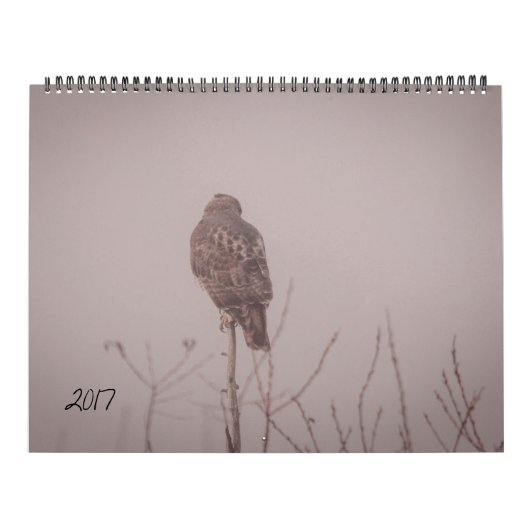 Agenda 2017 in het wild levende dieren kalender (Hoes)