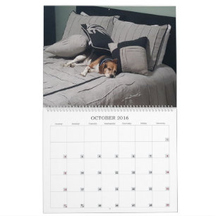 Agenda 2017 kalender