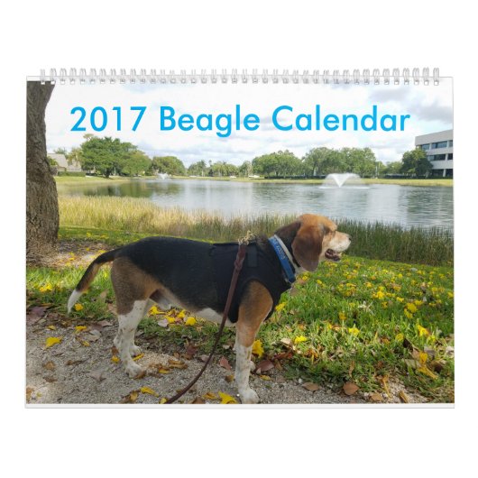 Agenda 2017 kalender (Hoes)