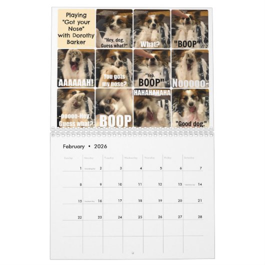 Agenda 2017 kalender (Feb 2026)