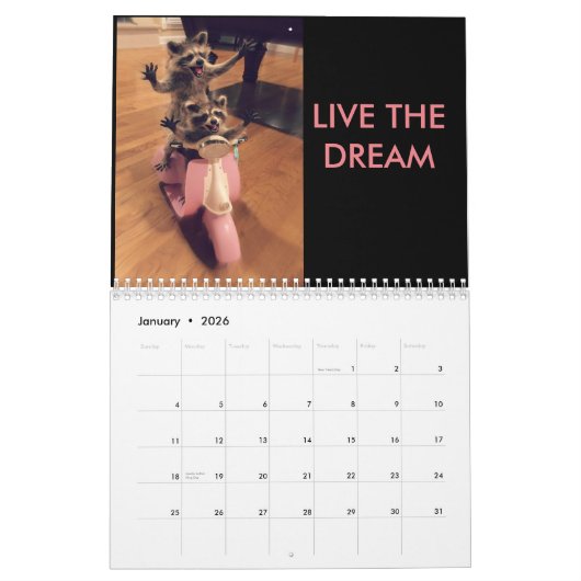 Agenda 2017 kalender (Jan 2026)