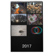 Agenda 2017 kalender (Hoes)