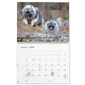 Agenda 2017 kalender (Jan 2027)