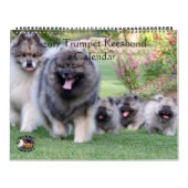 Agenda 2017 kalender (Hoes)