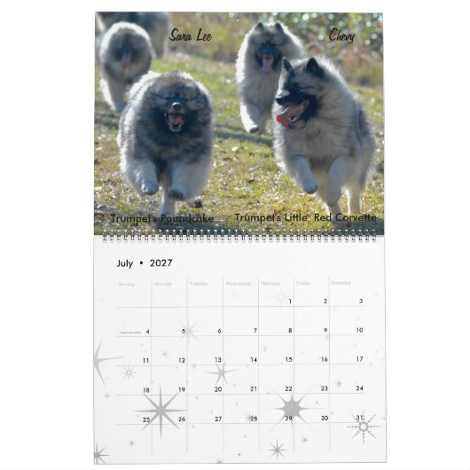 Agenda 2017 kalender (Jul 2027)