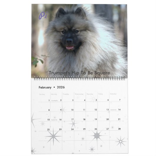 Agenda 2017 kalender (Feb 2026)