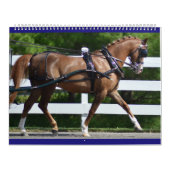 Agenda 2017 met afbeeldingen uit Walnut Hill Kalender (Hoes)