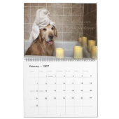 Agenda 2017 ParkerPup & Reser Kalender (Feb 2027)