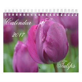 Agenda 2017 Tulpen Kalender