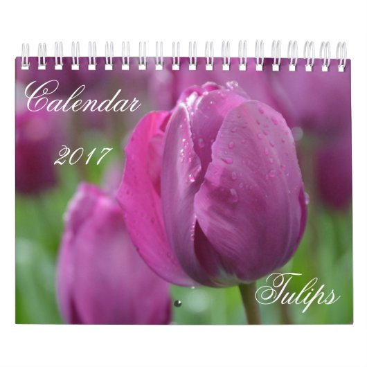 Agenda 2017 Tulpen Kalender (Hoes)