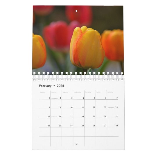 Agenda 2017 Tulpen Kalender (Feb 2026)