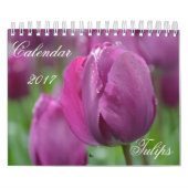 Agenda 2017 Tulpen Kalender (Hoes)