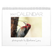 Agenda 2017 van Barbara Levy Kalender (Hoes)