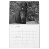 Agenda 2017 van Barbara Levy Kalender (Feb 2026)