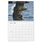 Agenda 2017 van de wereld van Eagle Kalender (Mar 2027)