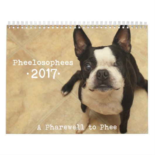Agenda 2017 van Phelosophees Kalender (Hoes)