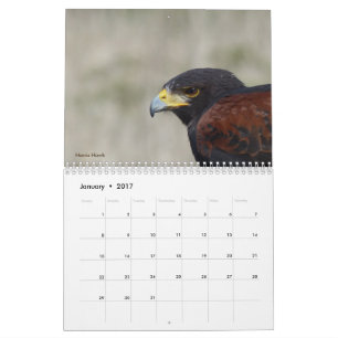 Agenda 2017 - Vogels van Noord-Amerika Kalender