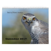Agenda 2017 - Vogels van Noord-Amerika Kalender (Hoes)