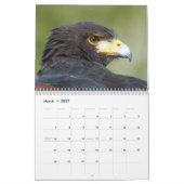 Agenda 2017 - Vogels van Noord-Amerika Kalender (Mar 2027)