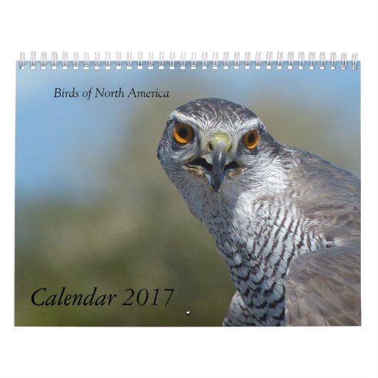 Agenda 2017 - Vogels van Noord-Amerika Kalender (Hoes)