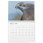 Agenda 2017 - Vogels van Noord-Amerika Kalender (Feb 2027)