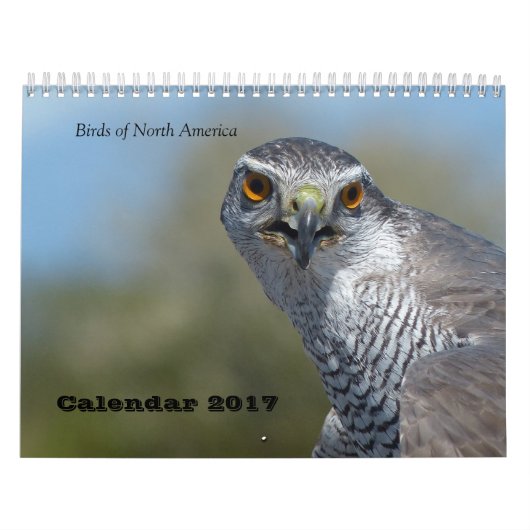 Agenda 2017 - Vogels van Noord-Amerika Kalender (Hoes)