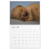 Agenda 2018 Golden Retriever Kalender (Mar 2027)