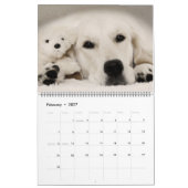 Agenda 2018 Golden Retriever Kalender (Feb 2027)