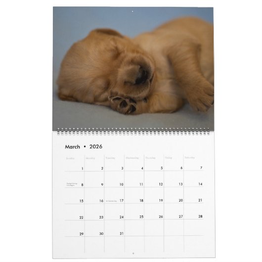 Agenda 2018 Golden Retriever Kalender (Mar 2026)