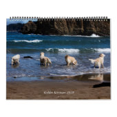 Agenda 2018 Golden Retriever Kalender (Hoes)
