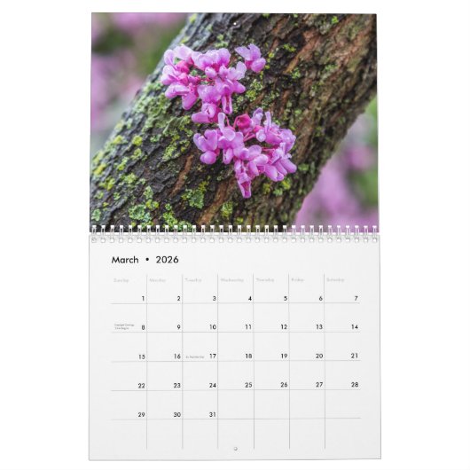 Agenda 2018 kalender (Mar 2026)