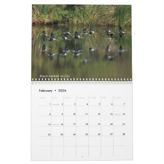 Agenda - 2018 - Middelgroot b Kalender (Feb 2026)